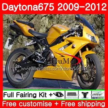 Injecție Pentru Triumph Daytona 675 09 10 11 12 Organism gkiss aur 88SH4 Daytona675 09-12 Daytona 675 2009 2010 2011 2012 Carenajele